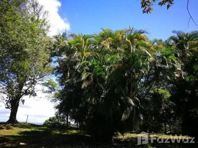 Land for Sale in Tilaran, Guanacaste for $31,100
