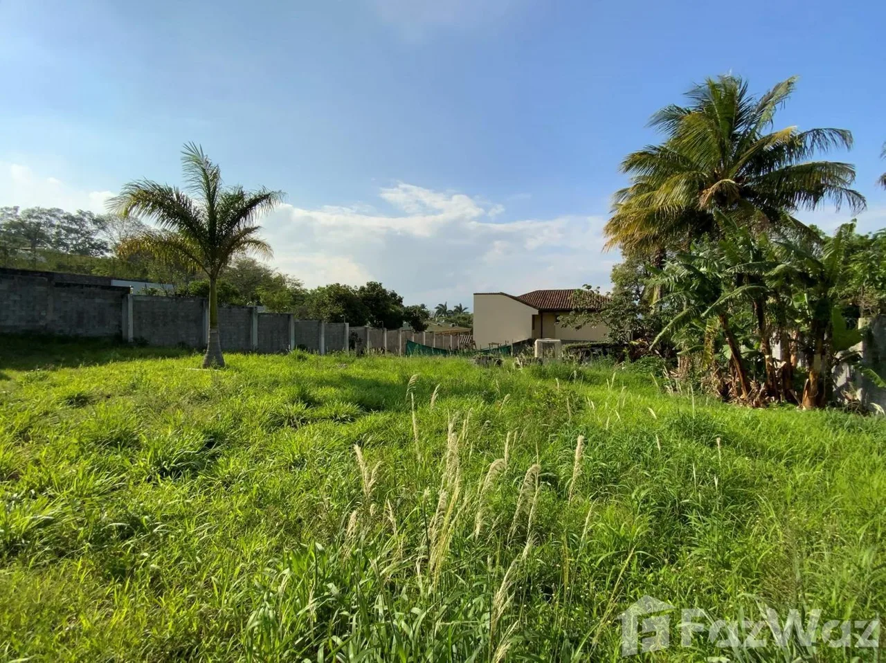 Land for Sale in Santa Ana, San Jose for $230,000