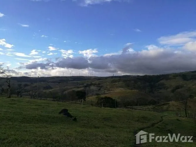 Land for Sale in Tilaran, Guanacaste for $295,000