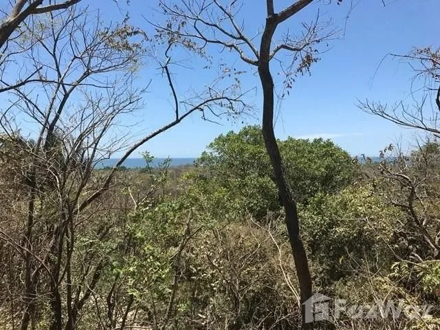 Land for Sale in Nicoya, Guanacaste for $200,000