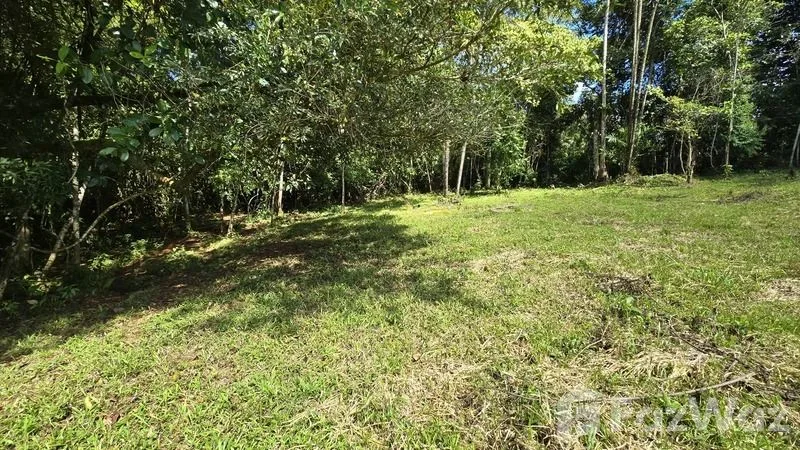Land for Sale in Perez Zeledon, San Jose for $90,000 — photo 2