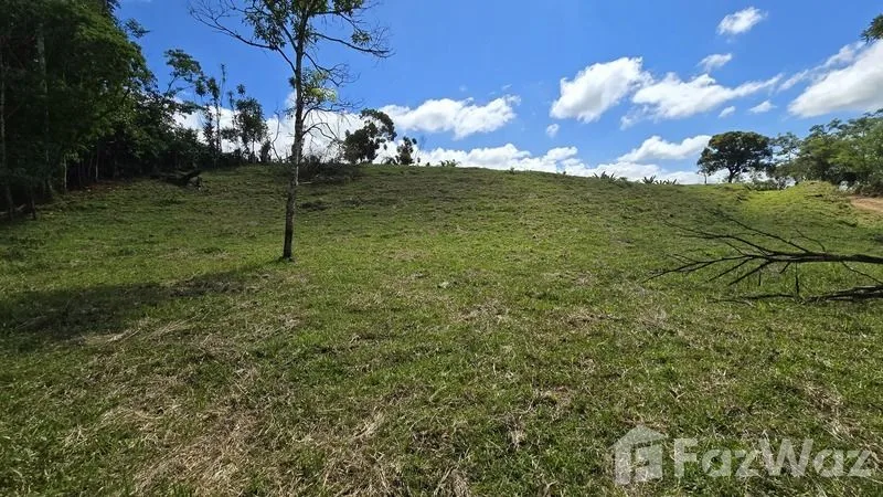 Land for Sale in Perez Zeledon, San Jose for $90,000 — photo 3
