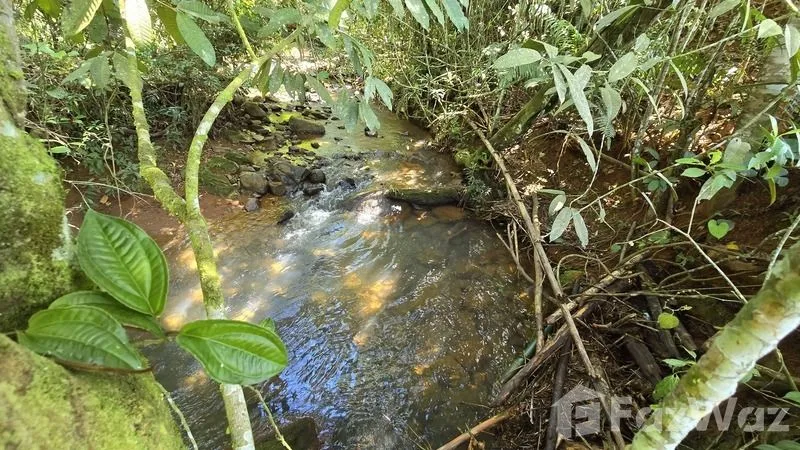 Land for Sale in Perez Zeledon, San Jose for $90,000 — photo 4