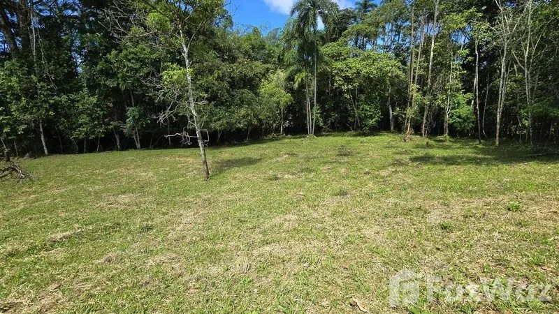 Land for Sale in Perez Zeledon, San Jose for $90,000 — photo 5