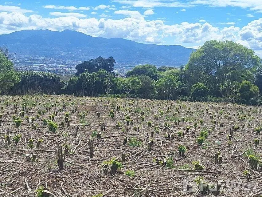 Land for Sale at San Pablo for $303,000