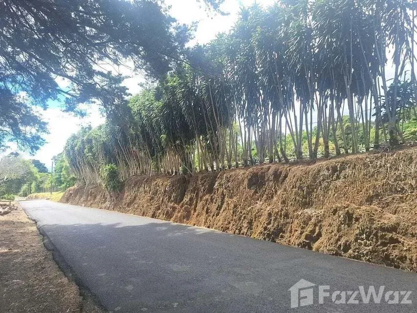 Land for Sale at San Pablo for $303,000 — photo 2