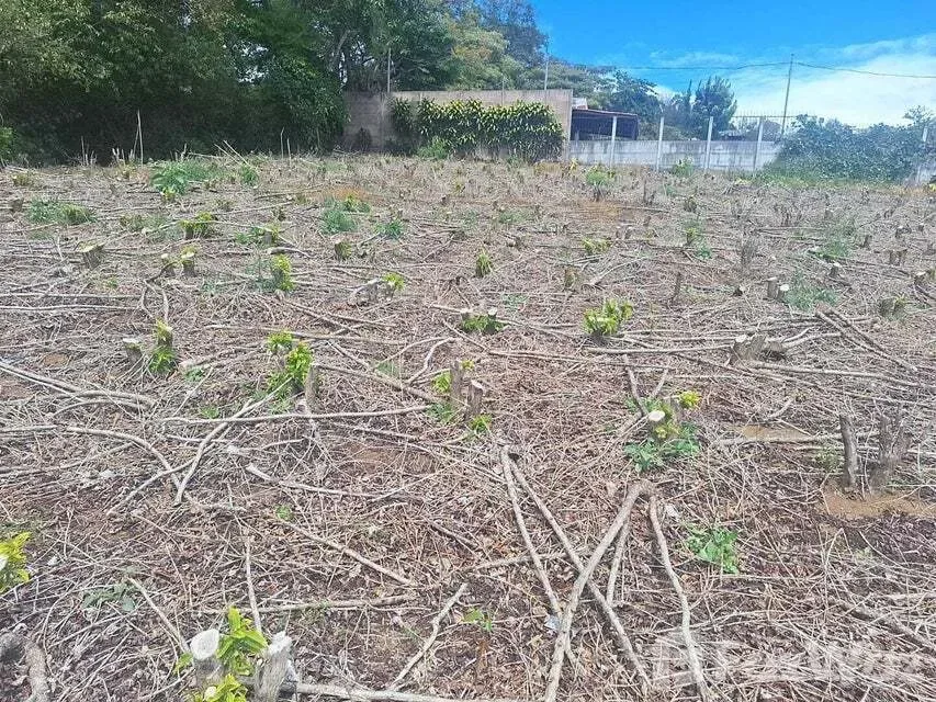Land for Sale at San Pablo for $303,000 — photo 3