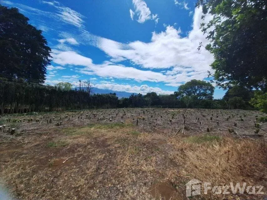 Land for Sale at San Pablo for $303,000 — photo 4