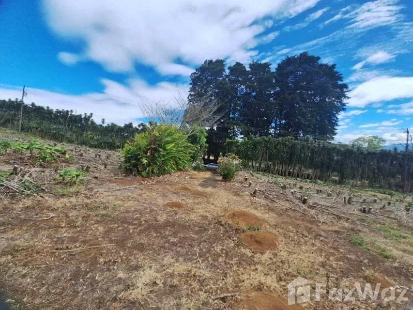 Land for Sale at San Pablo for $303,000 — photo 5