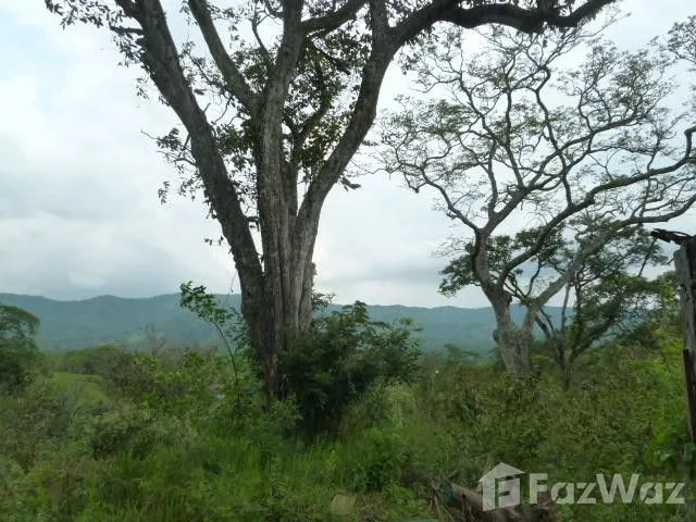 Land for Sale at Ciudad Colón for $158,000 — photo 3