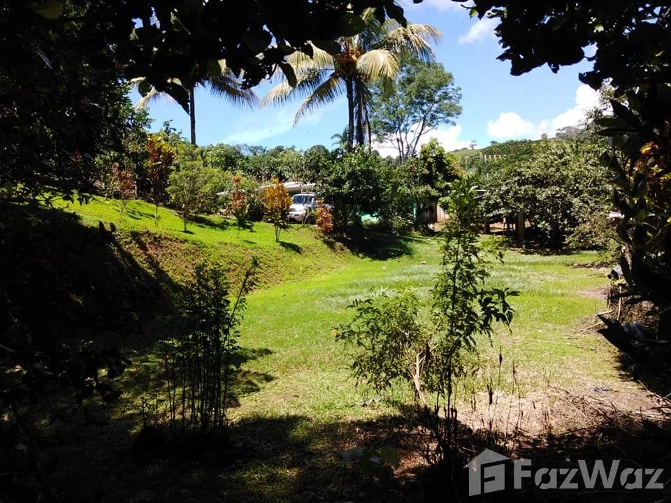 Land for Sale in Perez Zeledon, San Jose for $132,000