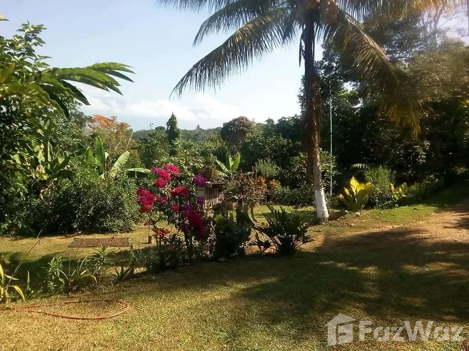 Land for Sale in Perez Zeledon, San Jose for $132,000 — photo 2