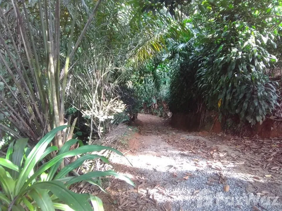 Land for Sale in Perez Zeledon, San Jose for $132,000 — photo 3