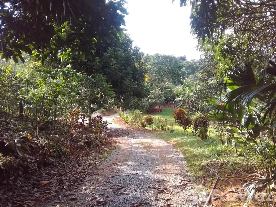 Land for Sale in Perez Zeledon, San Jose for $132,000 — photo 4