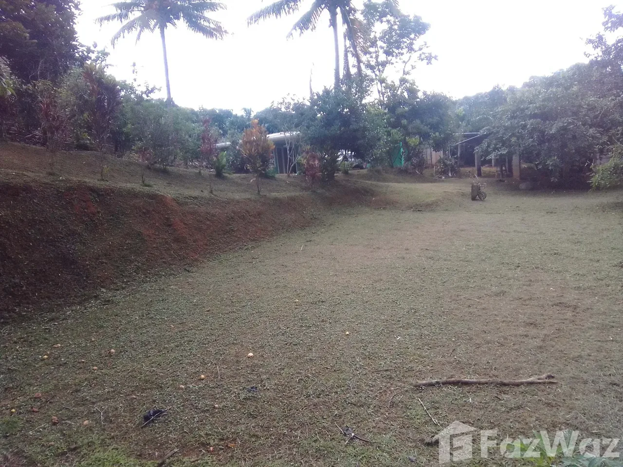 Land for Sale in Perez Zeledon, San Jose for $132,000 — photo 5