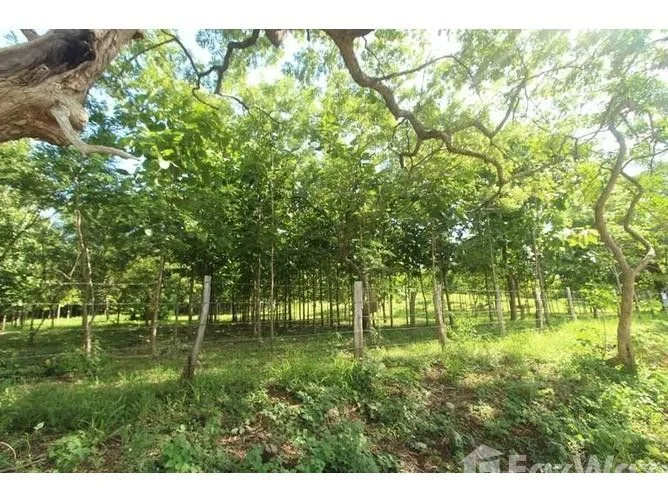 Land for Sale in Santa Cruz, Guanacaste for $1,600,000