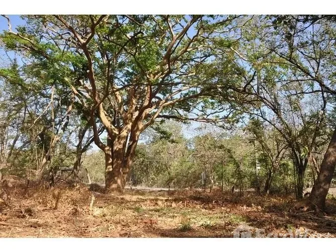 Land for Sale in Santa Cruz, Guanacaste for $1,150,000