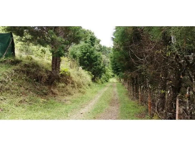 Land for Sale in San Pablo, Heredia for $60 — photo 2
