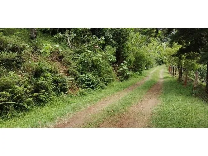 Land for Sale in San Pablo, Heredia for $60 — photo 3