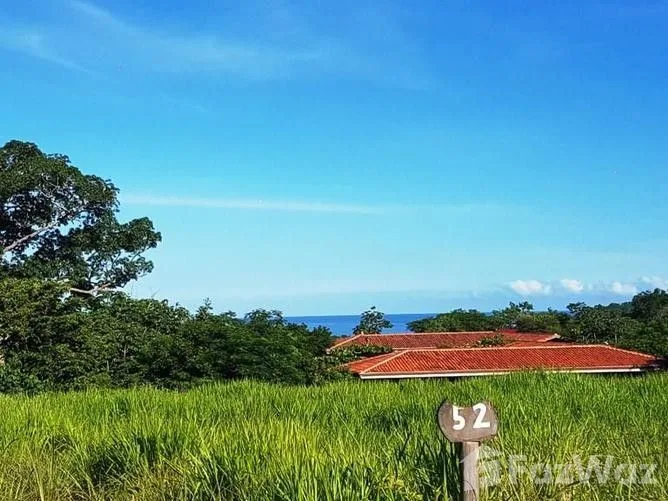 Land for Sale in Santa Cruz, Guanacaste for $139,000