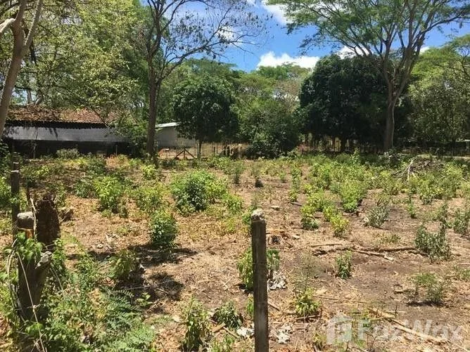 Land for Sale in Santa Cruz, Guanacaste for $100,000