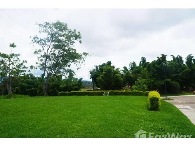 Land for Sale in Alajuela, Alajuela for $130,000