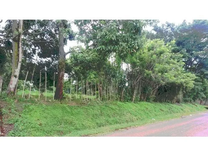 Land for Sale at Alajuela for $360,000