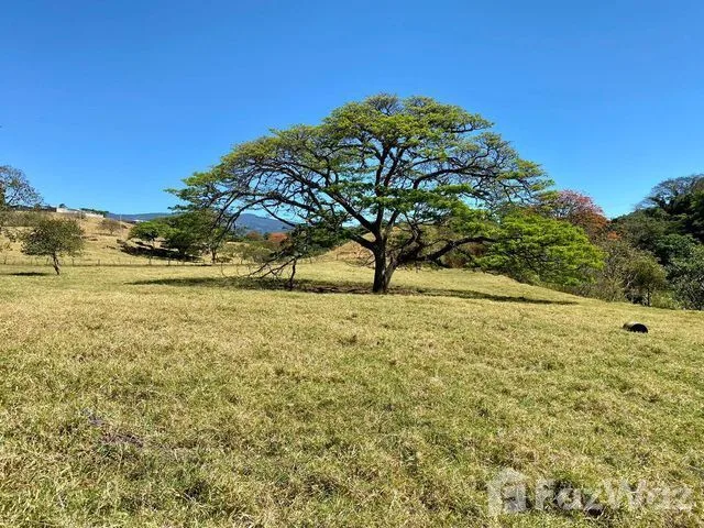 Land for Sale at Bo. Jesús for $850,485