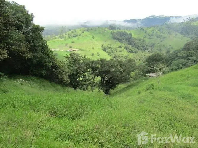 Land for Sale in Alfaro Ruiz, Alajuela for $217,000