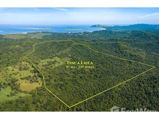 Land for Sale in Santa Cruz, Guanacaste for $4,000,000