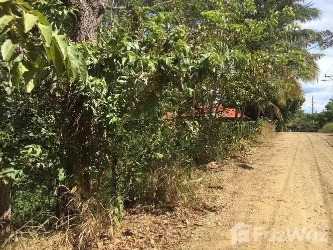 Land for Sale in Hojancha, Guanacaste for $69,000