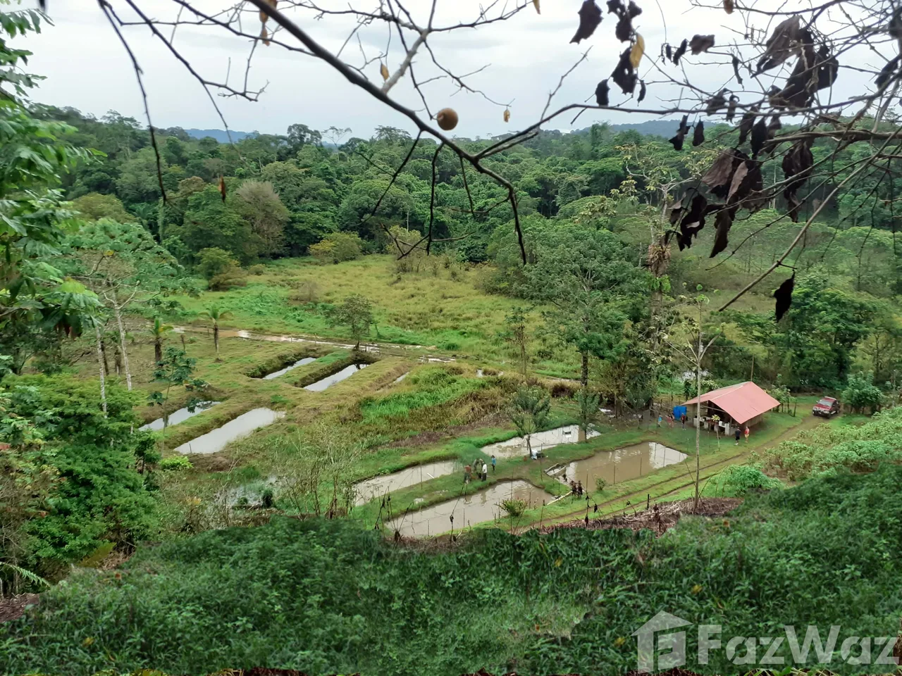 Land for Sale in Sarapiqui, Heredia for $70,000