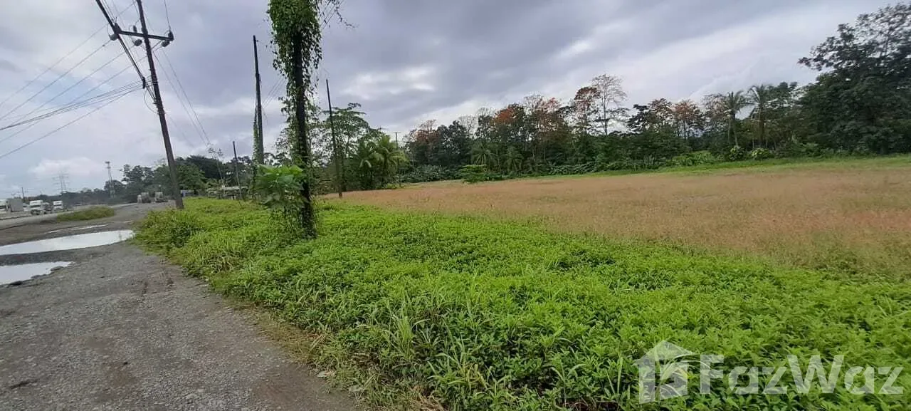 Land for Sale in Limon, Limon for $1,500,000