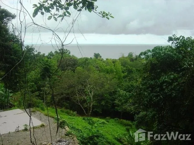 Land for Sale in Aguirre, Puntarenas for $259,000