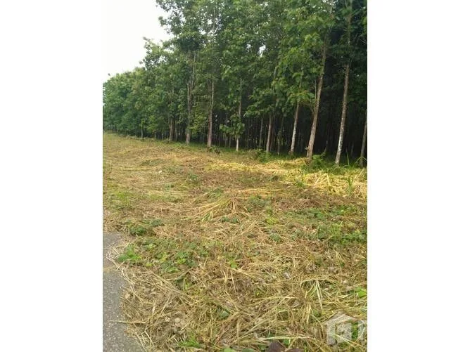 Land for Sale in Golfito, Puntarenas for $560,000
