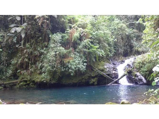 Land for Sale in Turrialba, Cartago for $2,400,000