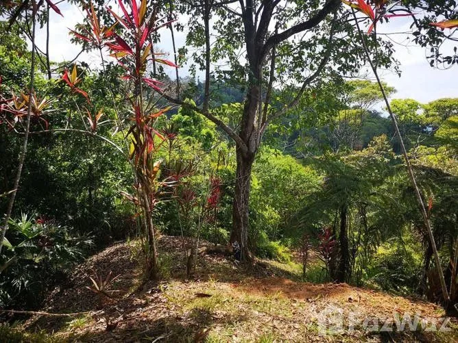 Land for Sale in Golfito, Puntarenas for $165,000