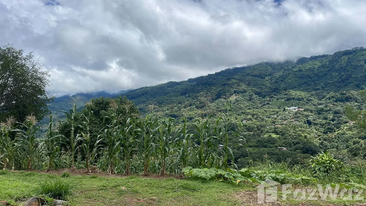 Land for Sale in Acosta, San Jose for $36 — photo 3