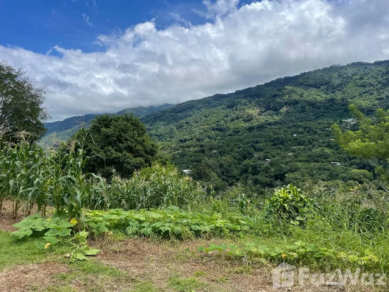 Land for Sale in Acosta, San Jose for $36 — photo 4