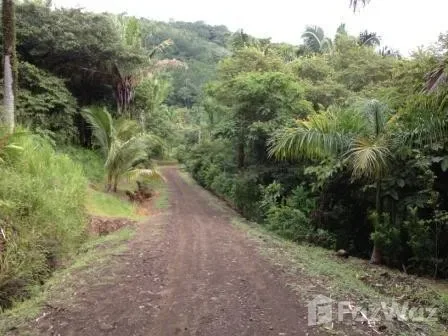 Land for Sale in Nicoya, Guanacaste for $60,000