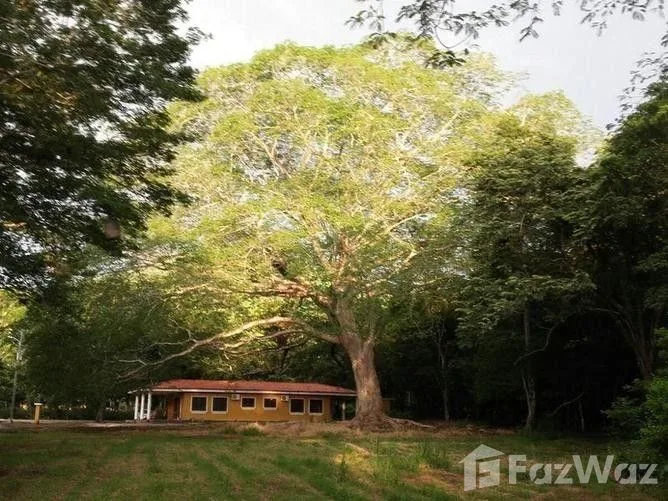 4 Bedroom House for Sale in Santa Cruz, Guanacaste for $390,000