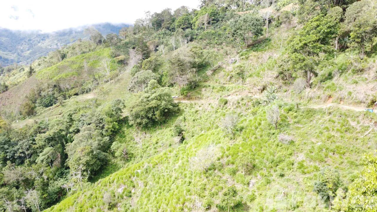 Land for Sale in Perez Zeledon, San Jose for $450,000