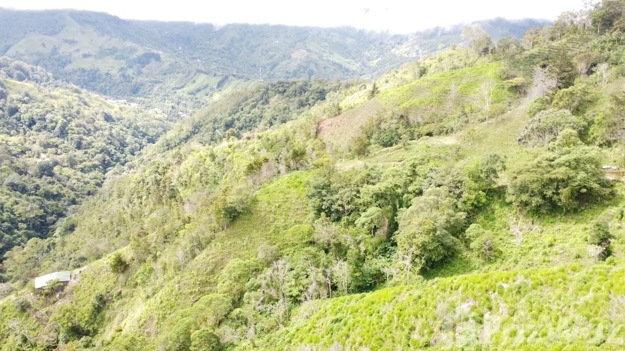 Land for Sale in Perez Zeledon, San Jose for $450,000 — photo 2
