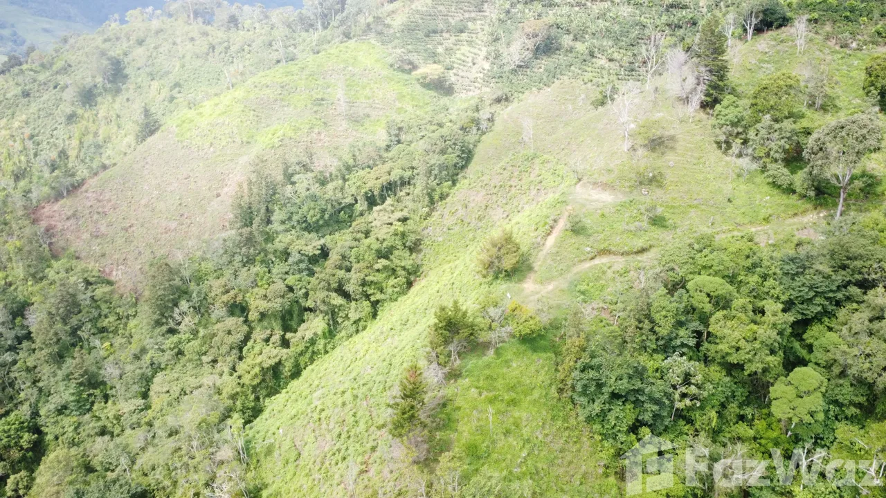 Land for Sale in Perez Zeledon, San Jose for $450,000 — photo 3