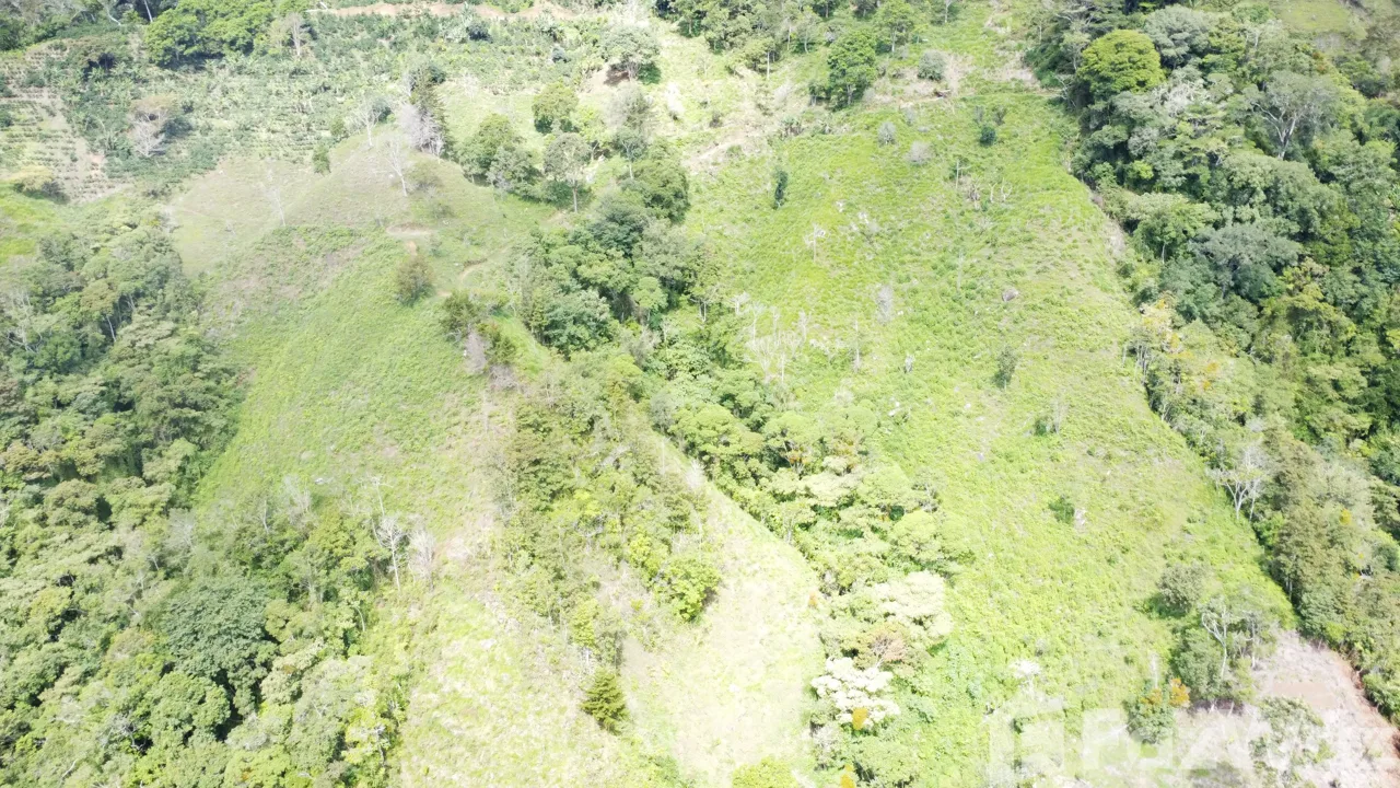 Land for Sale in Perez Zeledon, San Jose for $450,000 — photo 4