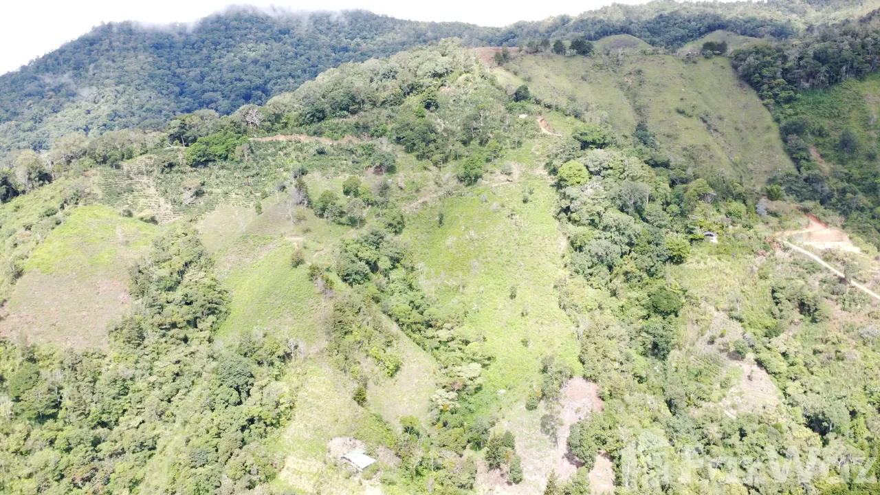 Land for Sale in Perez Zeledon, San Jose for $450,000 — photo 5