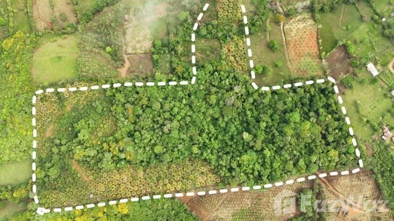 Land for Sale in Perez Zeledon, San Jose for $299,999