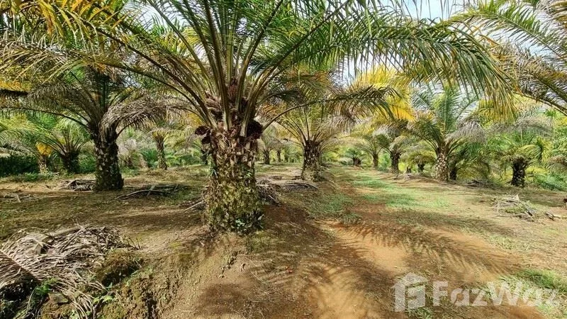 Land for Sale in Perez Zeledon, San Jose for $299,999 — photo 3