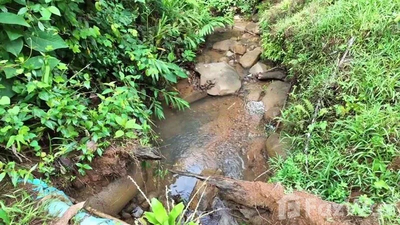Land for Sale in Perez Zeledon, San Jose for $299,999 — photo 5