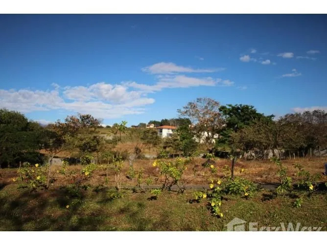 Land for Sale in Alajuela, Alajuela for $237,000